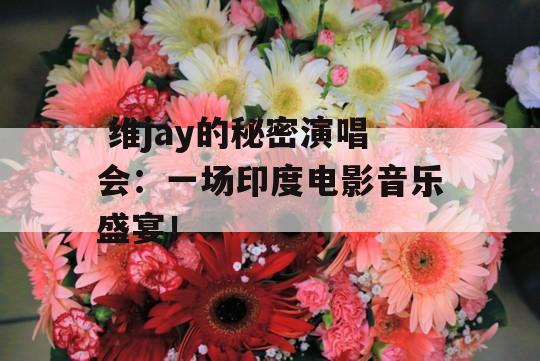  维jay的秘密演唱会：一场印度电影音乐盛宴！