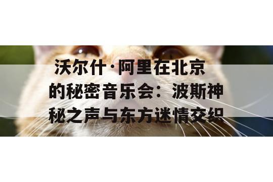  沃尔什·阿里在北京的秘密音乐会：波斯神秘之声与东方迷情交织