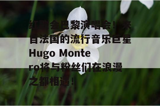 红歌会巴黎演唱会！来自法国的流行音乐巨星Hugo Montero将与粉丝们在浪漫之都相遇！